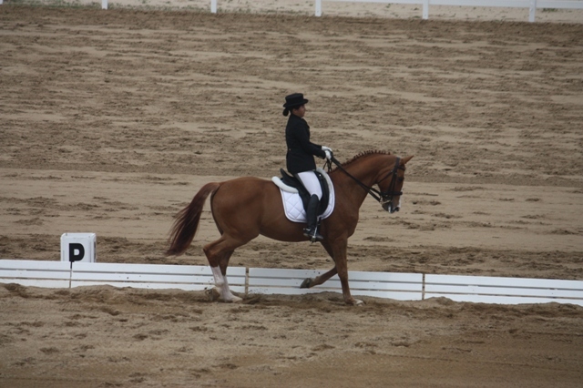 IMG_8683.JPG