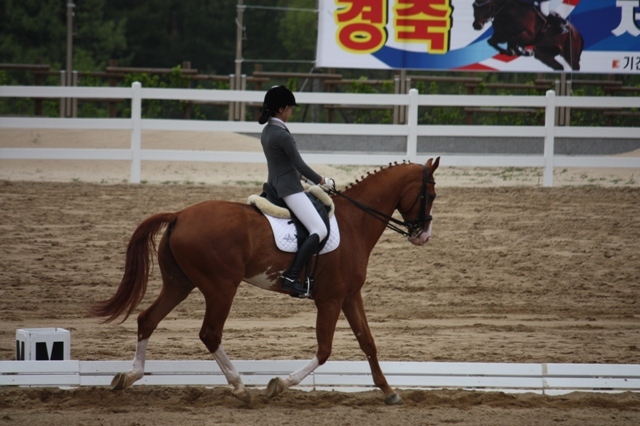 IMG_8894.JPG