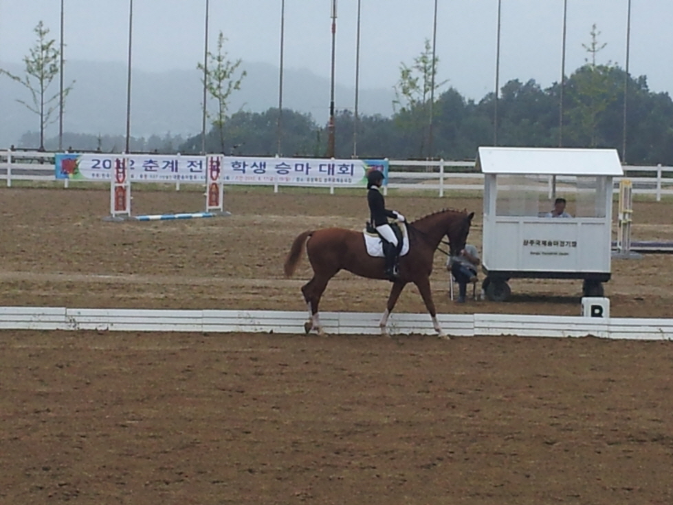 20120817_104631.jpg