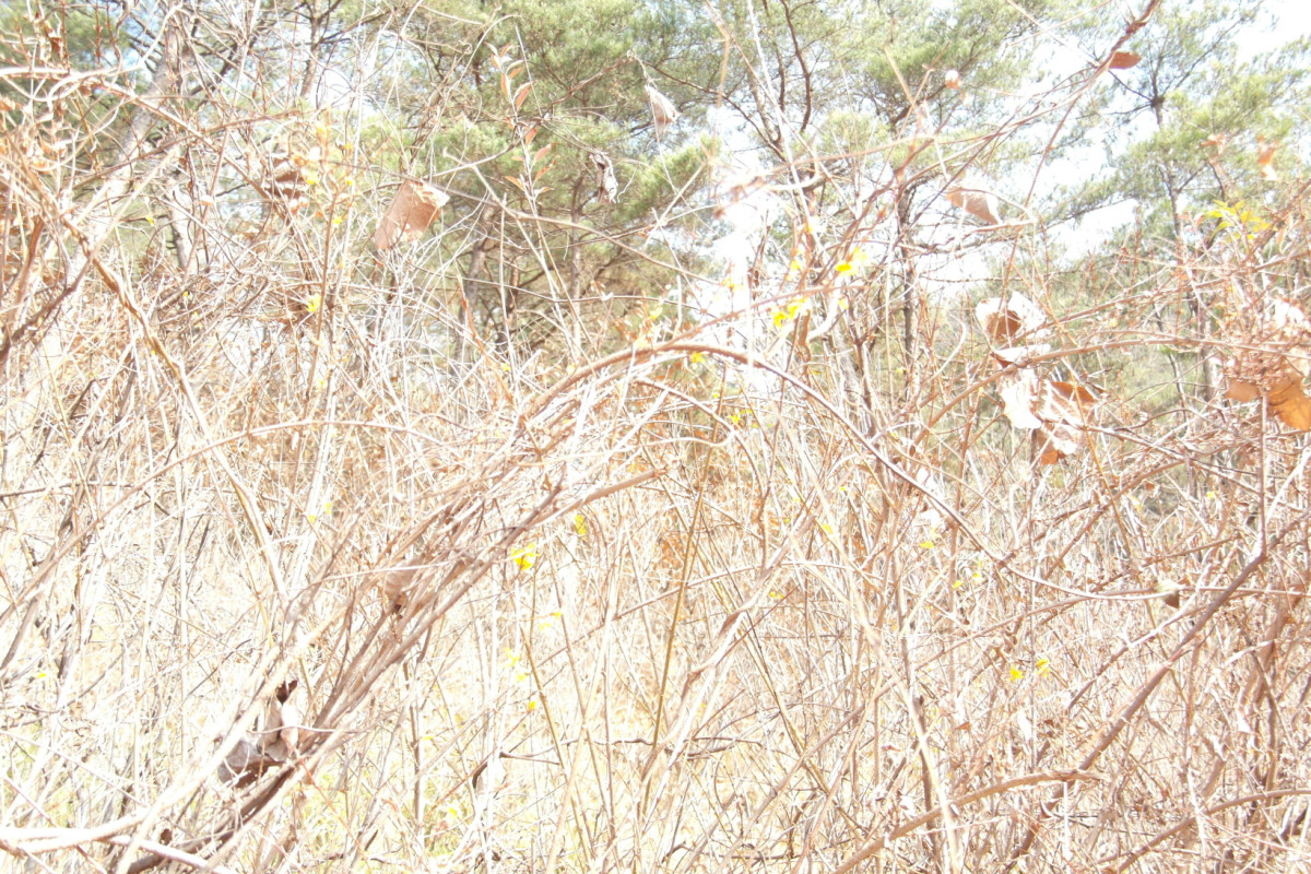 일괄편집_SAM_6579.JPG